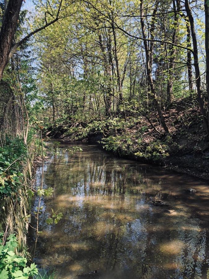Domek Caloroczny Na Wylacznosc Niebieska Osada Nad Gorskim Potokiem Stary Waliszow Экстерьер фото