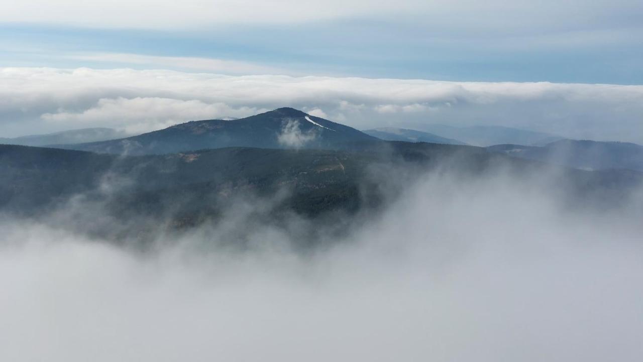Domek Caloroczny Na Wylacznosc Niebieska Osada Nad Gorskim Potokiem Stary Waliszow Экстерьер фото