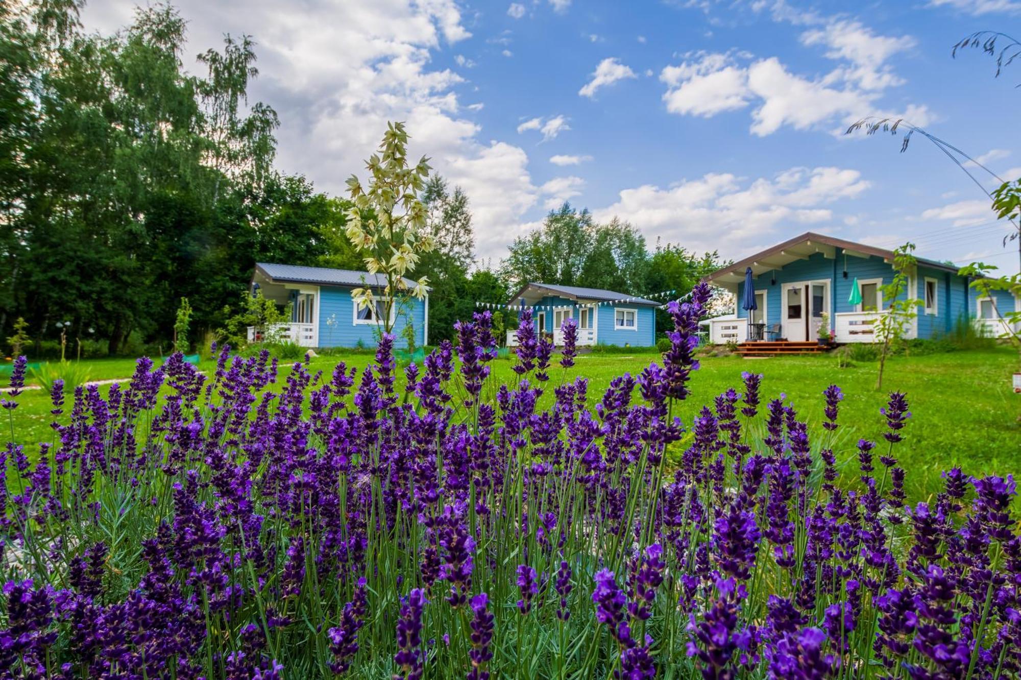 Domek Caloroczny Na Wylacznosc Niebieska Osada Nad Gorskim Potokiem Stary Waliszow Экстерьер фото