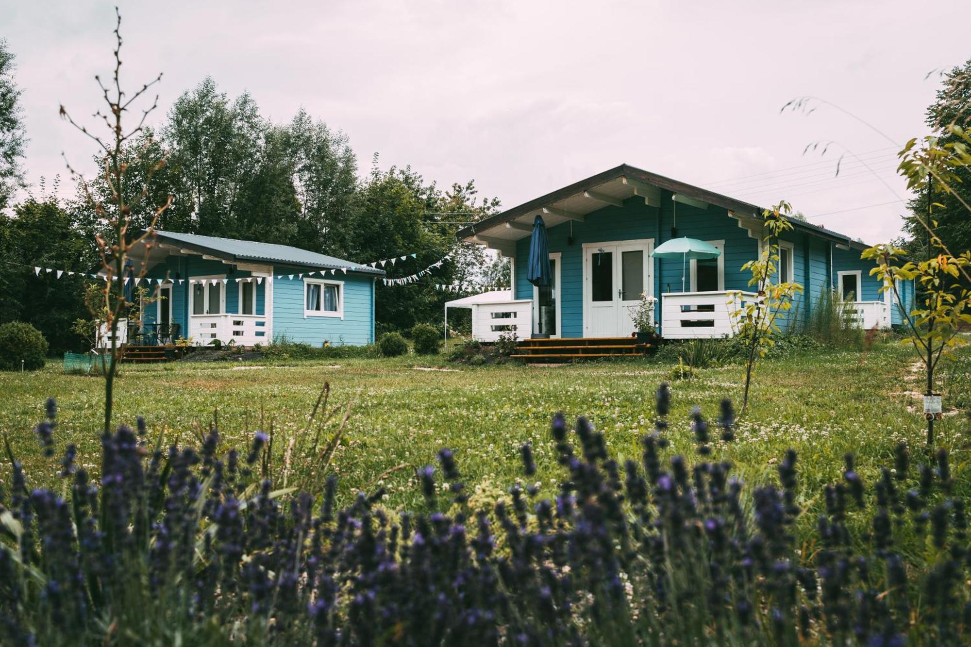 Domek Caloroczny Na Wylacznosc Niebieska Osada Nad Gorskim Potokiem Stary Waliszow Экстерьер фото